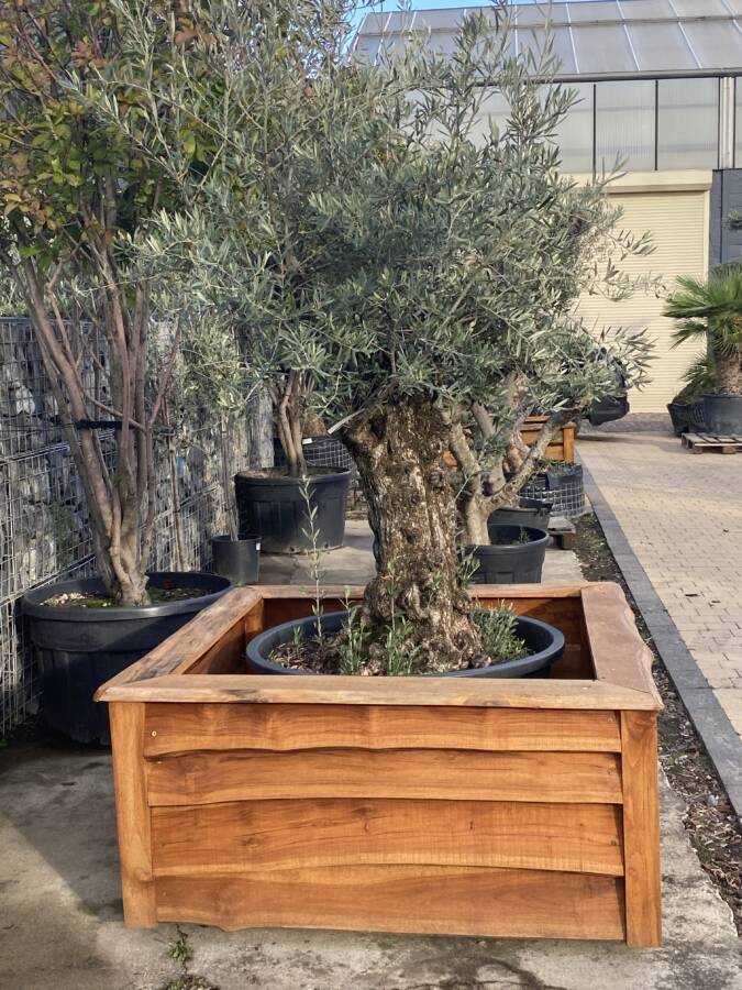 Houten plantenbakken DELCAMPOIMPEX